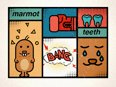 marmot teeth animal boxing bang animal bang boxing marmot teeth
