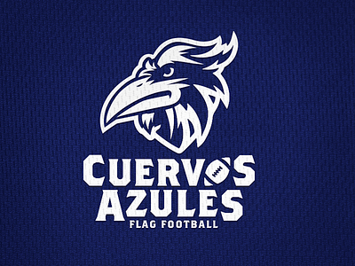 CUERVOS AZULES branding design diseño hermosillo logo logotype méxico visorstudio