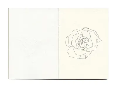 From the Neighbourhood 📖📍🌹 davidcallow drawing line pen petals rose sketch sketchbook study