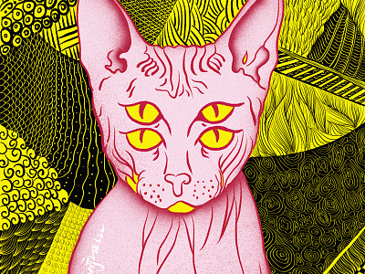 1111 canadian cat hairless