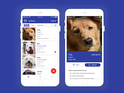 Animal Shelter Design Exercise app design material