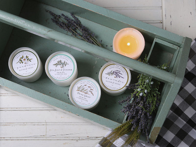 The Shine Collection Soy Candles branding candles illustration package design packaging