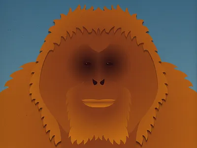 Endangered 03 Bornean Orangutan 100dayproject 100endangeredspecies endangeredspecies illustration the100dayproject