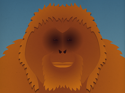 Endangered 03 Bornean Orangutan 100dayproject 100endangeredspecies endangeredspecies illustration the100dayproject