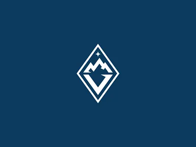 Vertex Education - Secondary branding logo mountain mountians navy serif