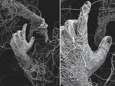 Papilarnie 3d draw generative illustration januszjurek lines procedural