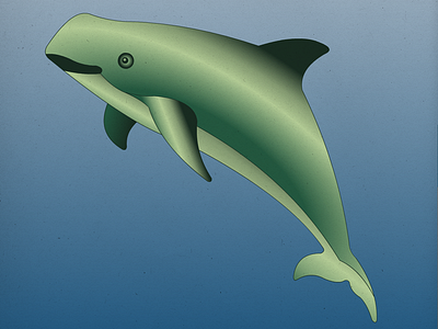 Endangered 04 Vaquita 100dayproject 100endangeredspecies endangeredspecies illustration the100dayproject