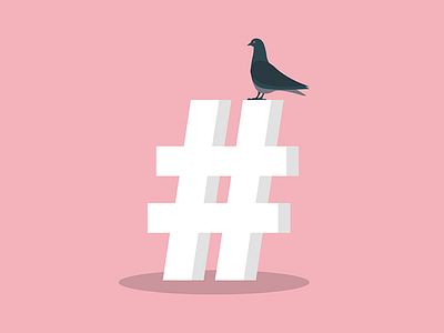 #pigeon experiment pigeon