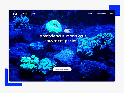 Daily UI #003 - Landing page aquarium dailyui design landingpage ui