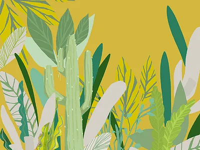 Cactus cactus desert green illustration leaf leaves nature succulent yellow