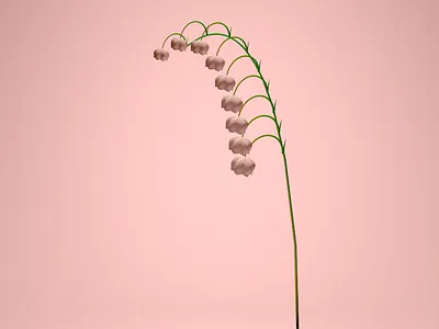 Lily of the Valley v0.1 3d 3d4designers c4d flower illustration