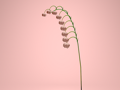 Lily of the Valley v0.1 3d 3d4designers c4d flower illustration