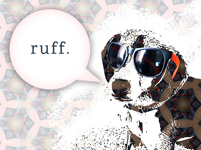 Cool Pup Graphic dog fun pet puppy sunglasses
