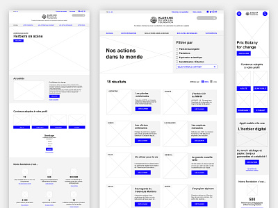 Responsive design Klorane Botanical Foundation website christophe dumas design interaction interface mobile prototype responsive ux web wireframe