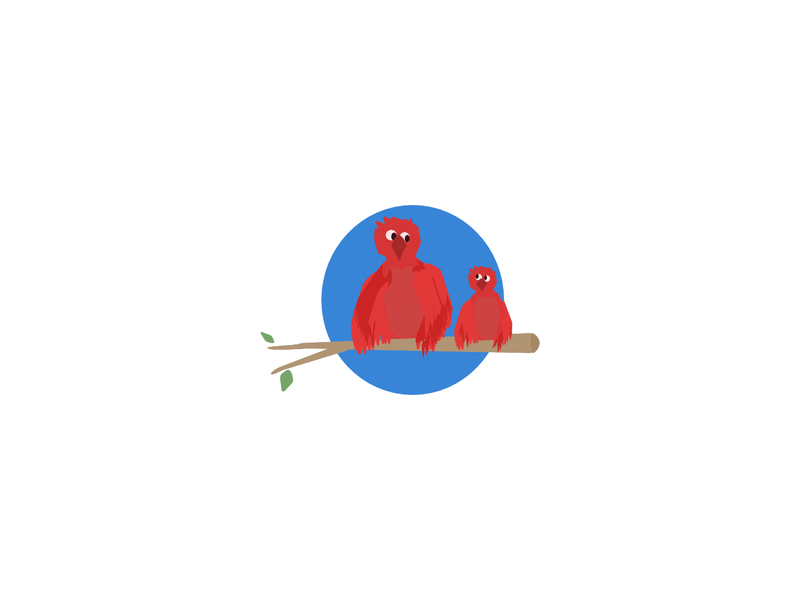 Yip birds illustration