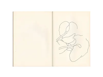 Neighbourhood studies 📖📍🌿 davidcallow drawing leaf line drawing nature pen plant sketch sketchbook