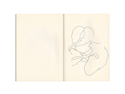 Neighbourhood studies 📖📍🌿 davidcallow drawing leaf line drawing nature pen plant sketch sketchbook