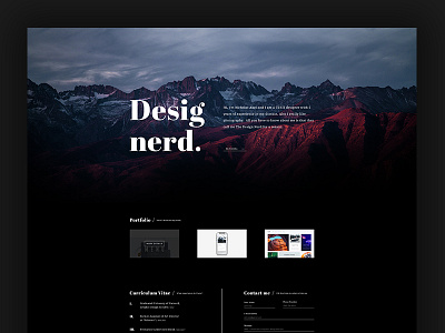 Designerd - Artist Portfolio artist desgin portfolio prospect ui ux web