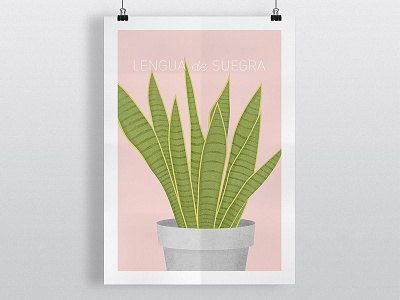 Lengua de Suegra colombia design illustration leaf lengua de suegra plant shot snake plant