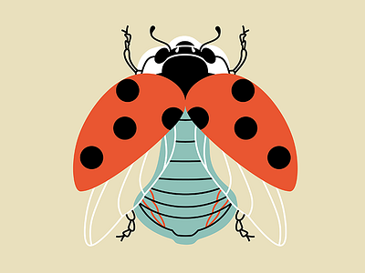 Ladybug icon illustration ladybug spring vector