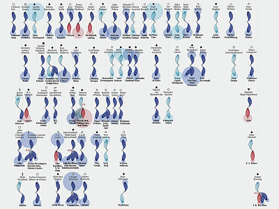 Literary Pseudonyms chart data datavisualization dataviz diagram figure illustration infographic infographics pattern texture visualization