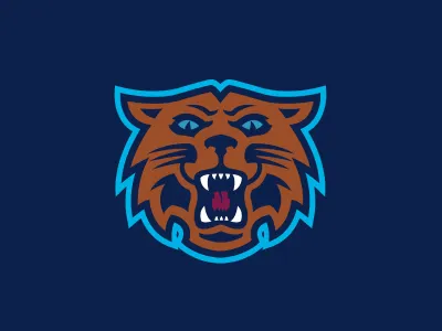 \\V//illanova Wildcat branding graphics logo sports sportsdesign design vector