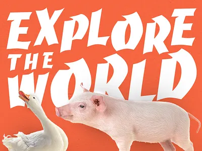 Grumaz - A Fun Oinking Display Font boldfont displayfont fancy fashion fontbundle fontcollection magazine magazinecover modern moderncalligraphy retro