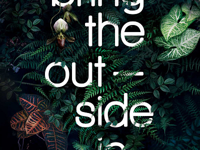 Ambius Com A 800x600 australia brochure brochure design brochure design sydney communication design creative brochure design creative typography sydney type design typography typography sydney