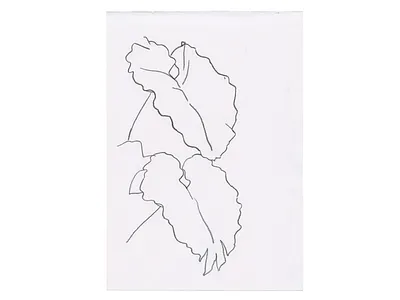 A single strand of hair 🍃 charcoal davidcallow drawing leaf line drawing monstera nature organic