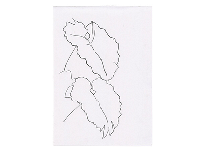 A single strand of hair 🍃 charcoal davidcallow drawing leaf line drawing monstera nature organic