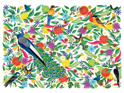Birds & Butterflies birds butterfly colour flowers fruit illustration ingredients spice
