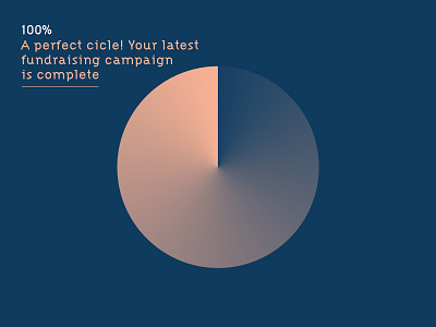 A Perfect Circle adobe illustrator illustration infographic