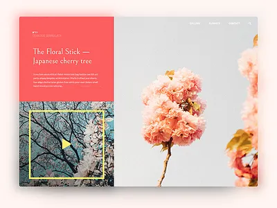 Japan cherry tree challenge cherry design japan mockup tree ui website