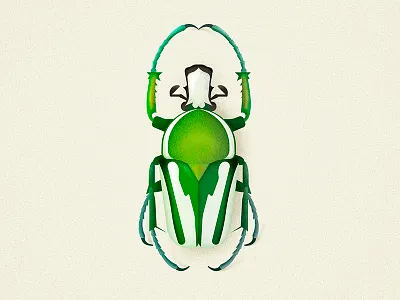 Regal Fruit Chafer beetle bug coleoptera flowerbeetle illustration insect