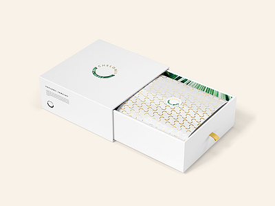 Chelonii Packaging no.2 brand identity branding design mock up packaging print