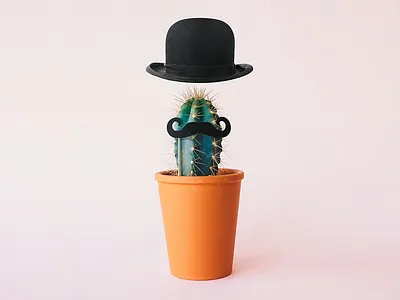 I for Identity brand cactus face fun i identity letter lettering manipulation plants type typography