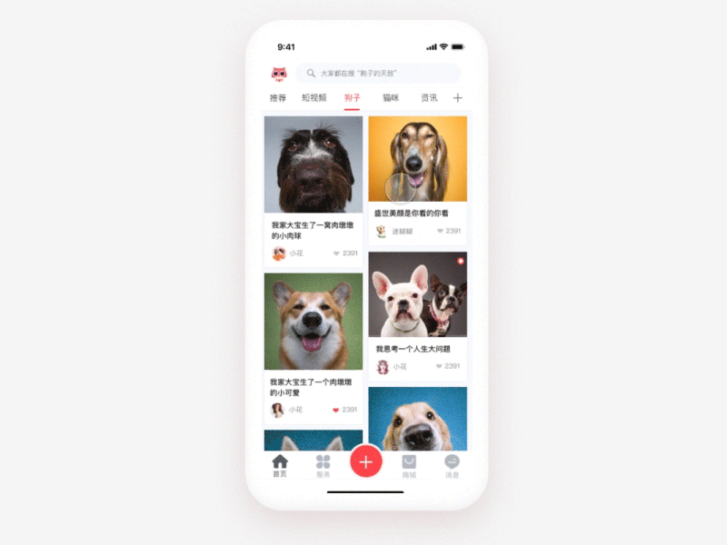 Dynamic design of pet house animation app