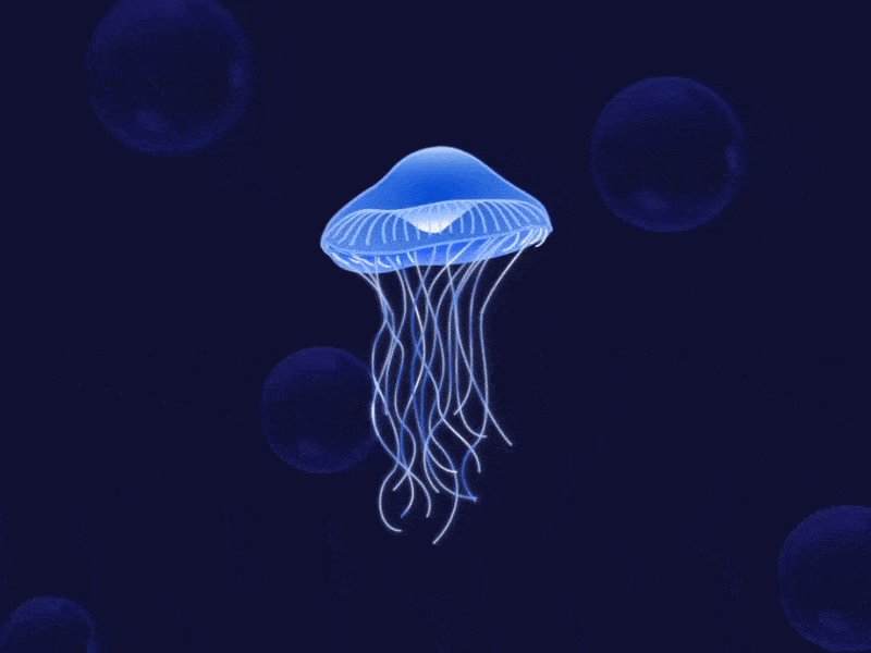 The Cool Club Jellyfish animation bubbles interactive jellyfish ux webgl