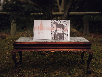 Donkeyskin children fairytales illustration