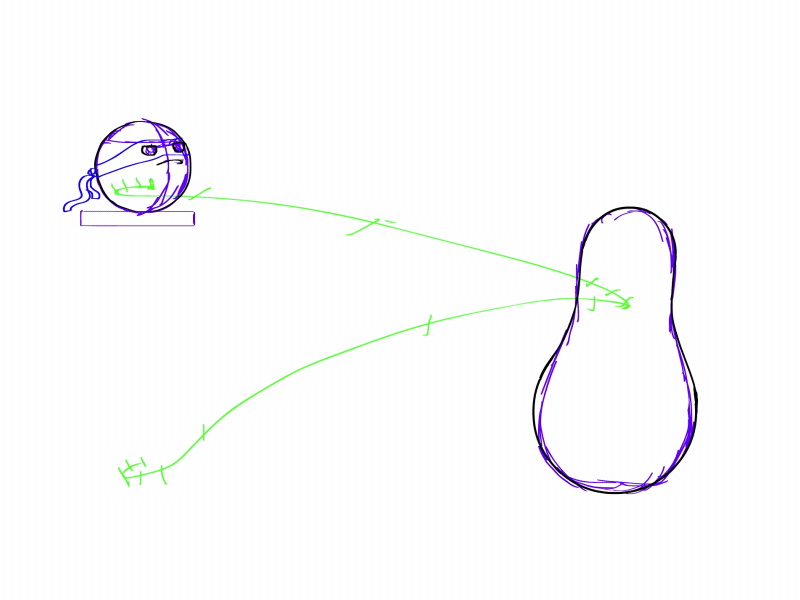 Bouncing Ball rough 2d adobe animate animation animcouleur animdessin bouncing ball frame by frame traditional animation