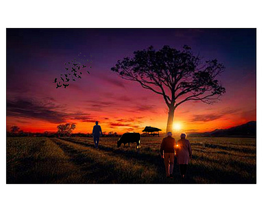 Sunset view designing farm graphic design nature nature view photo poster sunset ui view