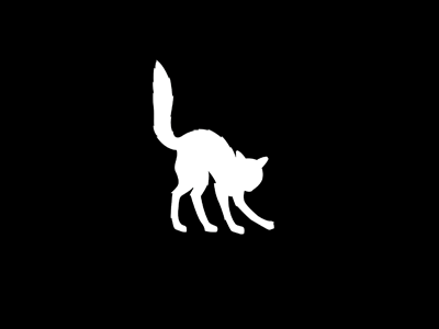 Black cat