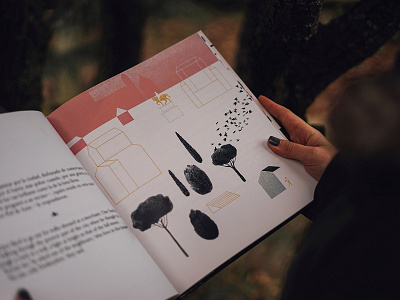 Donkeyskin book bookcover children editorial fairytales illustration