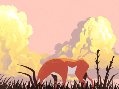 Gazelle Alert africa animal animation clouds creature gazelle grass savanna video
