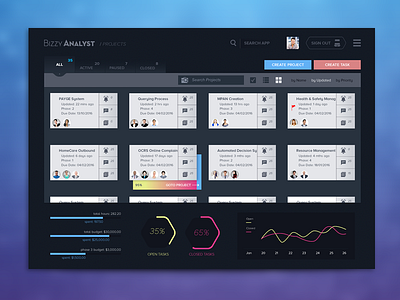 Bizzy Analyst business analyst dashboard project management