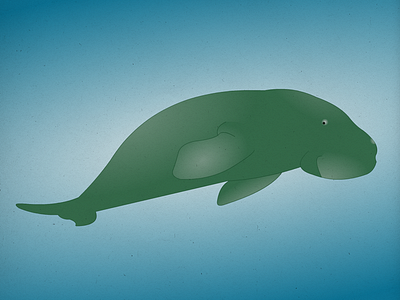 Endangered 12 Dugong 100dayproject 100endangeredspecies endangeredspecies illustration the100dayproject