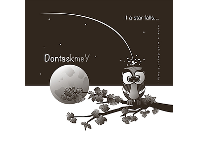 If A Star Falls bw cute falling star monochrome owl splash stars wish