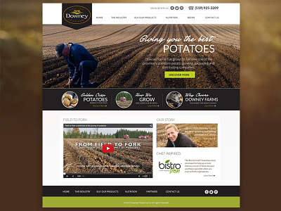 Downey Potato Farm cebu farm landing page philippines potato web design website