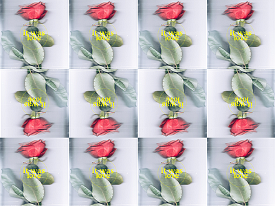 Mixed material experiment | it was love albumcover artwork lany mixed material photoshop rose. visual