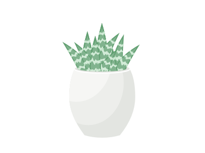 Haworthia Illustration illustration sketch succulents